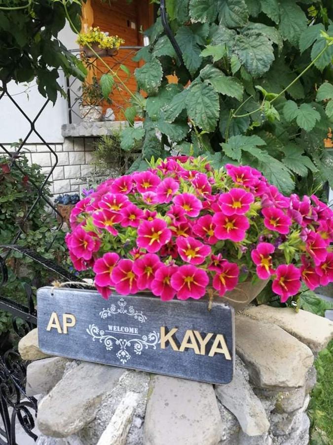 Apartment Kaya モイストラナ エクステリア 写真